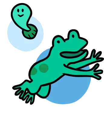 カエル
